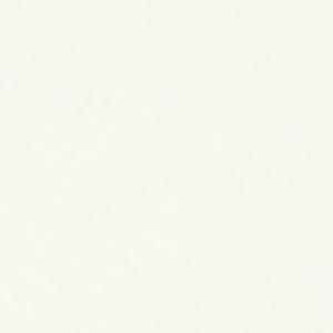 Заглушка самоклейка Белый Платиновый Гладкий SM 14мм (56)