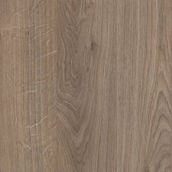 Заглушка самоклейка Дуб Денвер Трюфель 14мм (56)