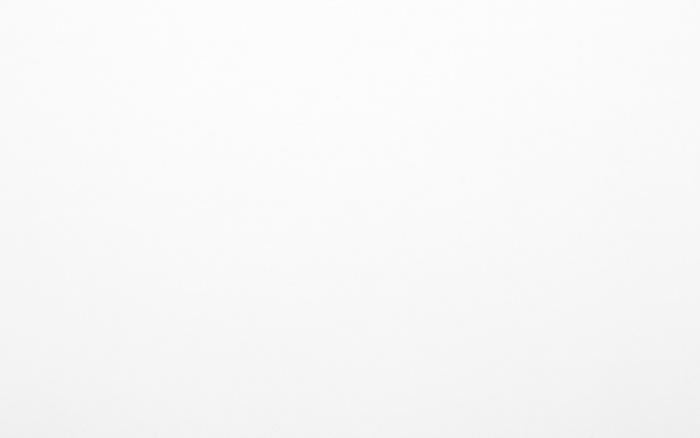 10/Белый Стеновая панель 600*3000*6мм Скиф