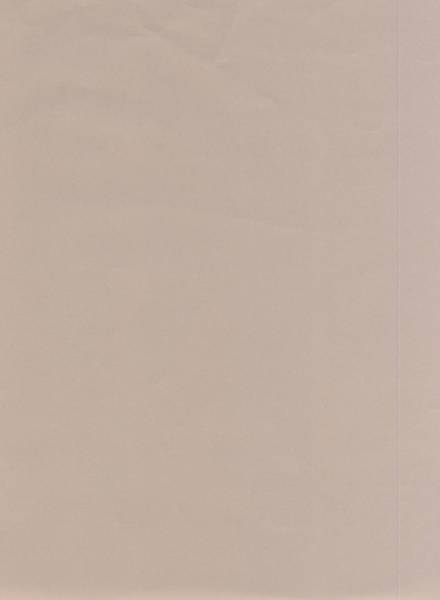 Заглушка самоклейка Мокко (2502) d13 (117)