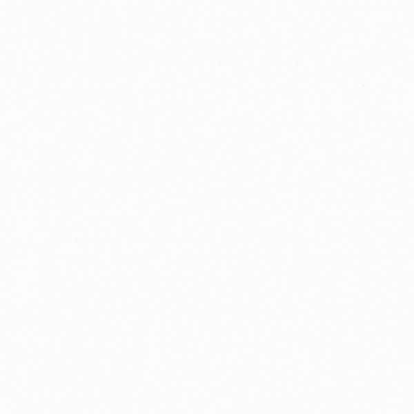 10/Белый Столешница 26*600*3000мм Скиф