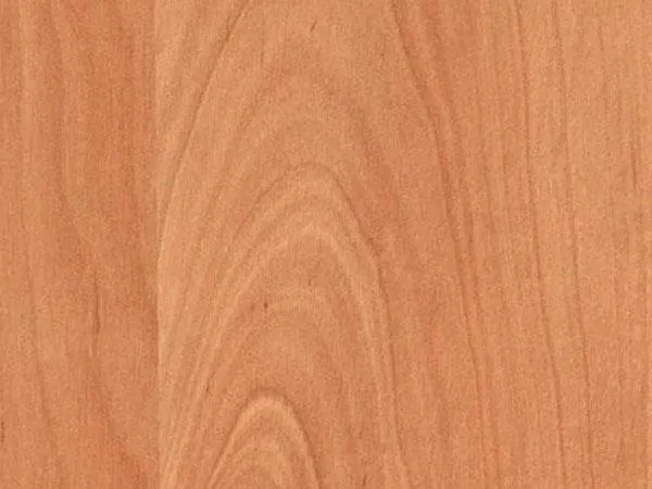 Заглушка самоклейка Ольха Натуральная (1548) d17 (70)