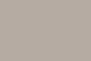 Панель Утренний Капучино (L2599) 2800х1220х18мм (матовый) AQUA