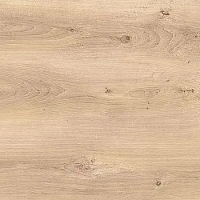 2612/Айриш Оак Кромка АБС (43*1)GP