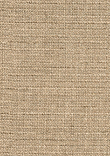 Кромка Акапулько 0,4*19 SТ10 ЭГГЕР ABS (200)