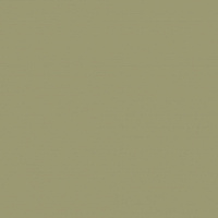 Панель Зеленый Оливковый (U640) TM9/ST9 2800х1220х18мм PerfectSense Top EGGER