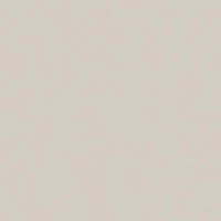 Кромка Серый Светлый 0,8*19 ST9 EGGER ABS (75)