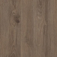 Заглушка самоклейка Дуб Давос Трюфель 14мм (56)