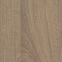 Кромка Дуб Корбридж Серый 0,4*19 SТ12 EGGER ABS (200)