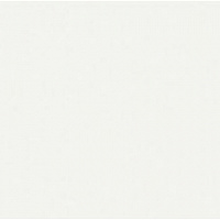 Кромка Белый Базовый SM 0,8*19 EGGER ABS (75)