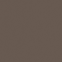 Кромка Трюфель Коричневый 0,4*19 ST9 EGGER ABS (200)