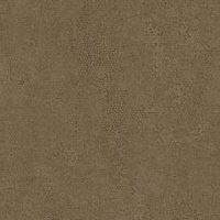 Кромка Кобра Бронза 2*35 SТ20 EGGER ABS (75)