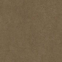 Кромка Кобра Бронза 2*35 SТ20 EGGER ABS (75)