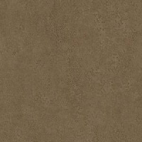 Кромка Кобра Бронза 2*35 SТ20 EGGER ABS (75)