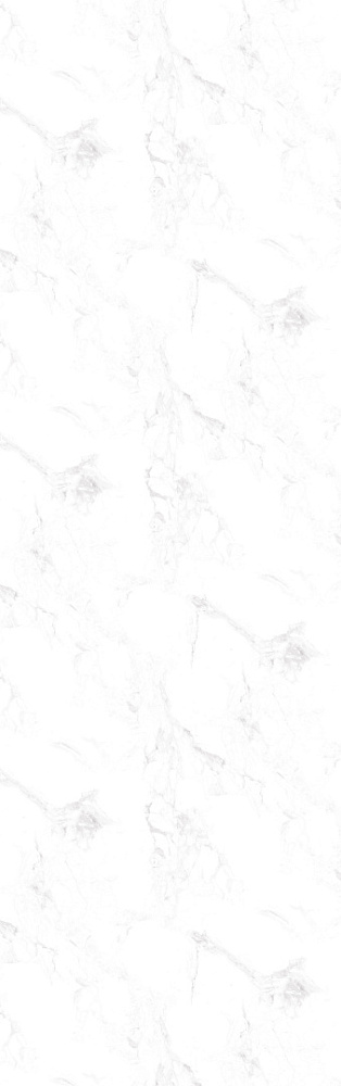 2349/Бернини Марбл компакт-ламинат SolidCompact (без обработки) 4200*650*12мм (крафт черный) Е2
