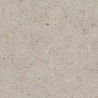 Камень Пьетра Фанано Светло-Серый Кромка 1,5/43 F230 ST75 ABS EGGER