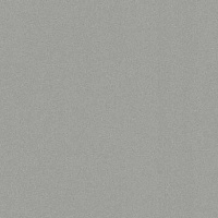 Кромка Алюминий Матированный 0,8*19 SТ2 EGGER ABS (75)