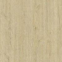 Кромка Пикар 0,4*19 (200м) ПВХ GP/253