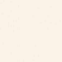 Кромка Фарфор Белый 0,4*19 SТ9 EGGER ABS (200)