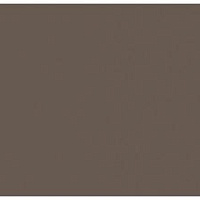 Кромка Трюфель Коричневый 2*19 SТ9 EGGER ABS (75)