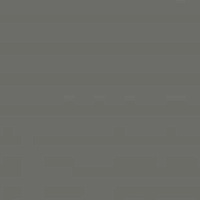 Панель Серый Шторм Матовый Р004(726) МДФ 18*1220*2800 1-стор, Кастамону