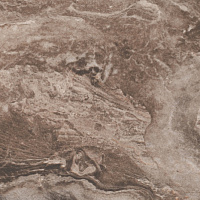 Панель Коричневый мрамор (L2582) 2800х1220х18мм (матовый) REXAУ