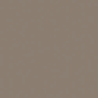 Кромка Серо-Коричневый Темный 0,4*19 SТ9 EGGER ABS (200)