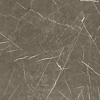 5055/Актив Марбл компакт-ламинат SolidCompact (без обработки) 4200*1320*12мм (крафт черный) Е1