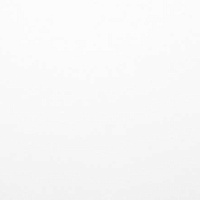 10/Белый Стеновая панель 600*3000*6мм Скиф