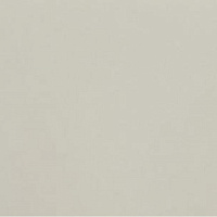 Панель Новый Серый Матовый Р729 МДФ 16*1220*2800 1-стор, Кастамону