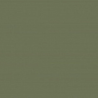 Кромка Оливия 1*19 (100м)ПВХ