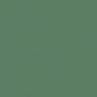 Кромка Зеленый Эвкалипт 0,8*19 ST9 EGGER ABS (75)