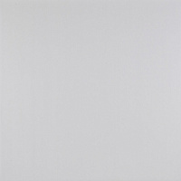 Панель Светло-Серый Глянец Р116 МДФ 10*1220*2800 1-стор, Кастамону