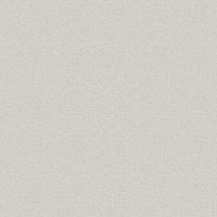 ОДВП Серый 1700*2745*2,5