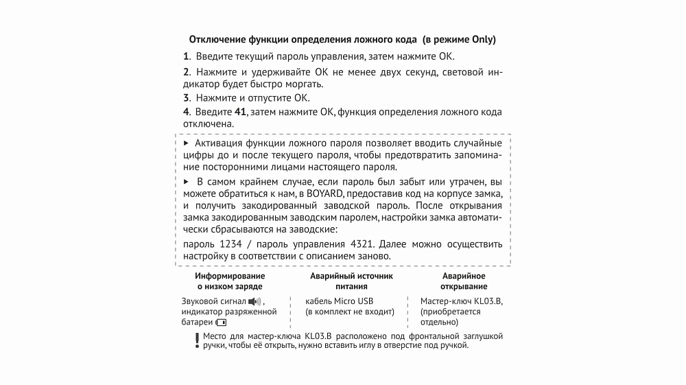 Замок 603BL.5 электронный BOYARD (5)