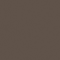 Кромка Трюфель Коричневый 0,8*19 SТ9 EGGER ABS (75)