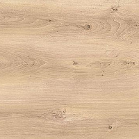 2612/Айриш Оак Компакт-ламинат SolidCompact (без обработки) 3050*1320*12мм (крафт черный) Е3