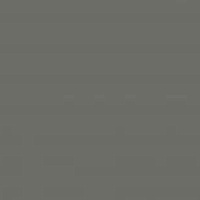 Панель Серый Шторм Матовый Р004(726) МДФ 18*1220*2800 1-стор, Кастамону