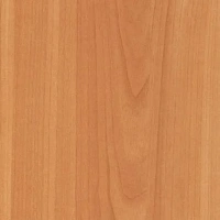 Кромка Вишня Оксфорд 2*19 (100м) ПВХ GР/103