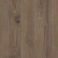 Заглушка самоклейка Дуб Давос Трюфель 14мм (56)