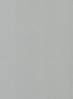 Кромка Алюминий 0,4*19 (200м) ПВХ GP/125