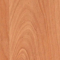 Заглушка самоклейка Ольха Натуральная (1548) d17 (70)