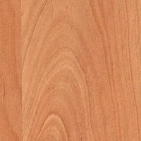 Заглушка самоклейка Ольха Натуральная (1548) d17 (70)