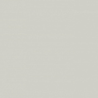 ЛДСП Серый Светлый ВЛАГОСТ ST9 16мм 2800*2070 EGGER U708