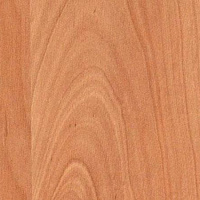 Заглушка самоклейка Ольха Натуральная (1548) d13 (117)