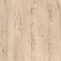 Кромка Дуб Ирландский (дуб янтарный) 1*19 (200м) ПВХ GР/186