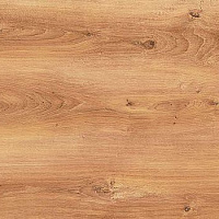 2613/Шотландский Дуб Столешница 3000*600*40 SLOTEX/Elga1