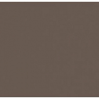 Кромка Трюфель Коричневый 2*19 SТ9 EGGER ABS (75)