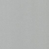 Кромка Алюминий 0,4*19 (200м) ПВХ GP/125