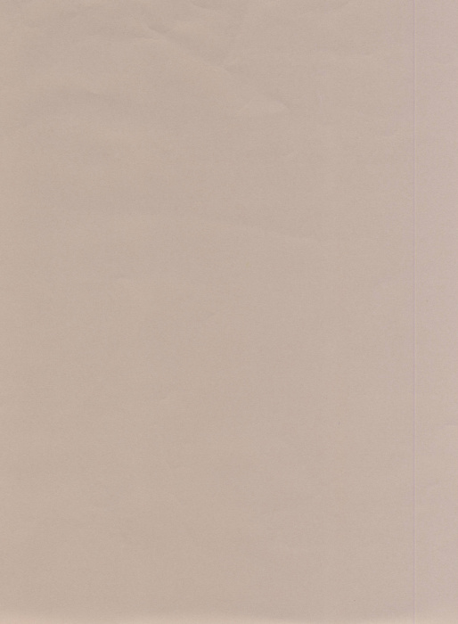 Кромка Перламутр 1*19 200м ПВХ GP/269